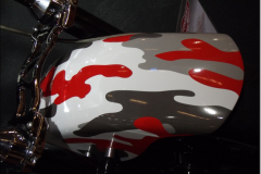 p_DSCF3728