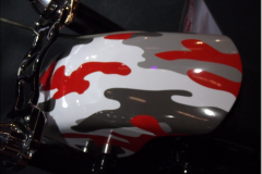 p_DSCF3729