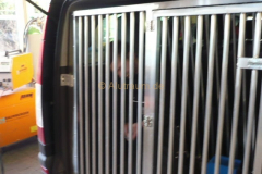 Vito box (2)