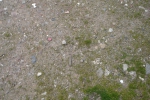 p_bartau_braun_013